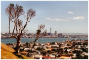 01 - Auckland (0)